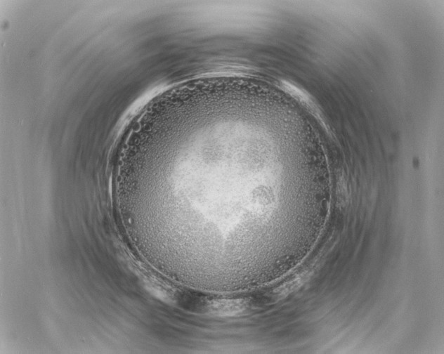 X0000060751419200511141147