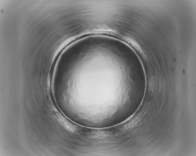 X0000060751420200511141147