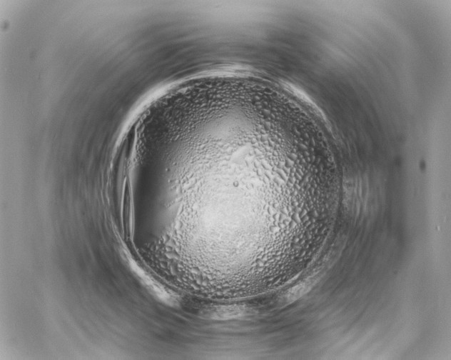 X0000060751421200511141147