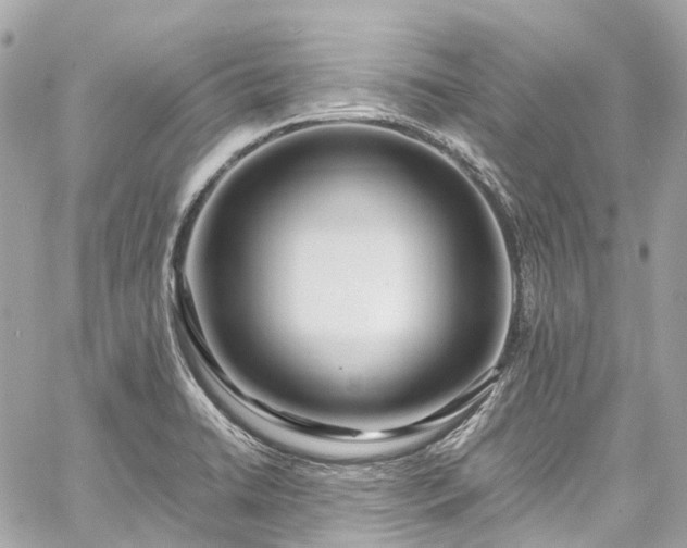 X0000060751422200511141147