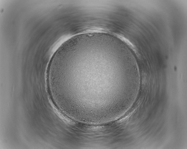 X0000060751423200511141147