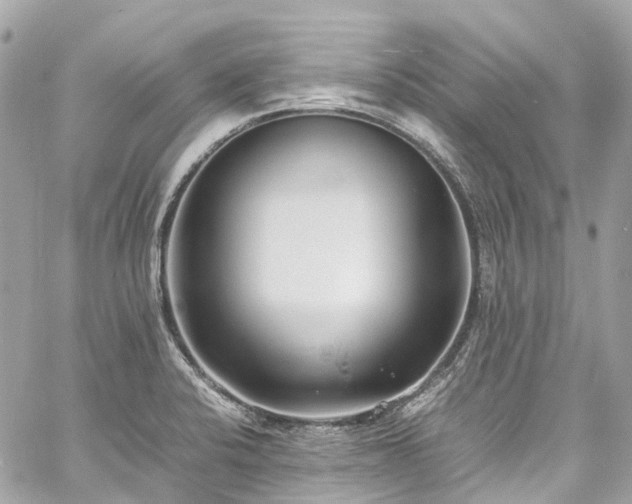 X0000060751424200511141147