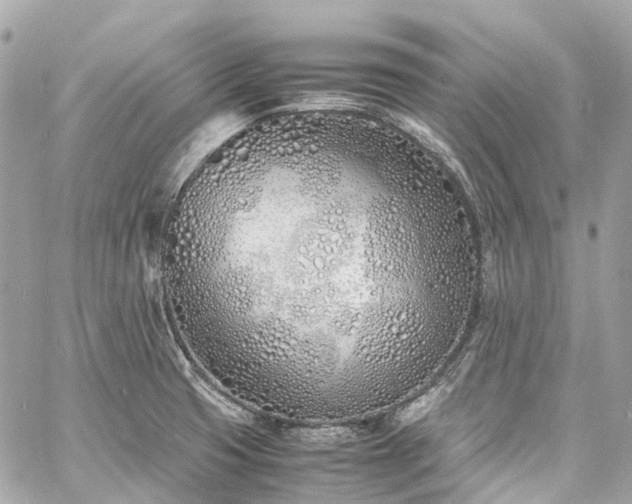 X0000060751425200511141147