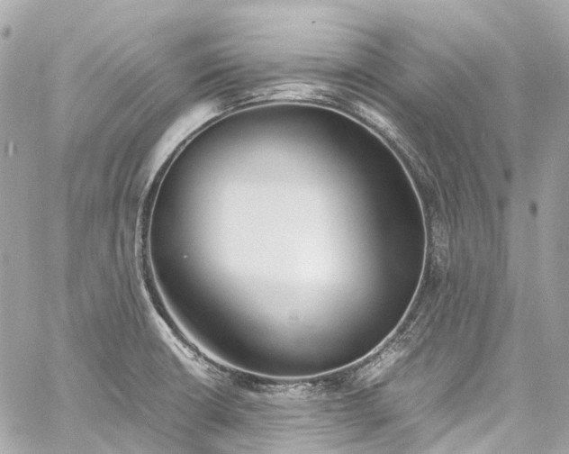 X0000060751426200511141147