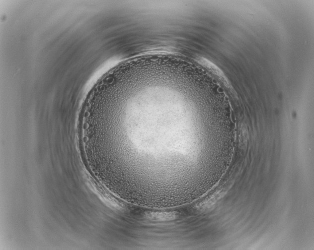 X0000060751427200511141147