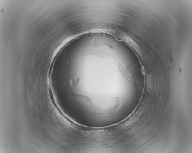 X0000060751428200511141147