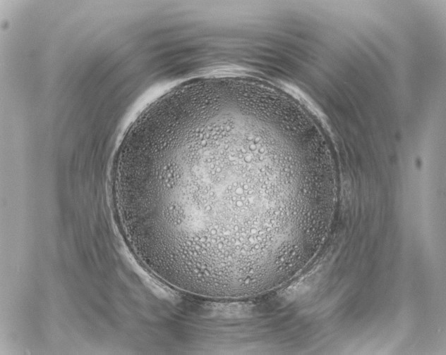 X0000060751429200511141147