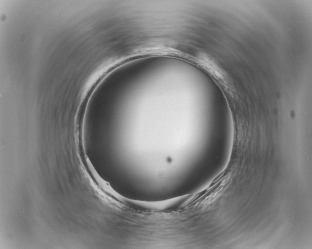 X0000060751430200511141147