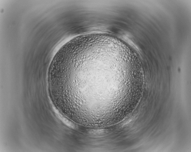 X0000060751431200511141147