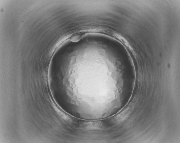 X0000060751433200511141147