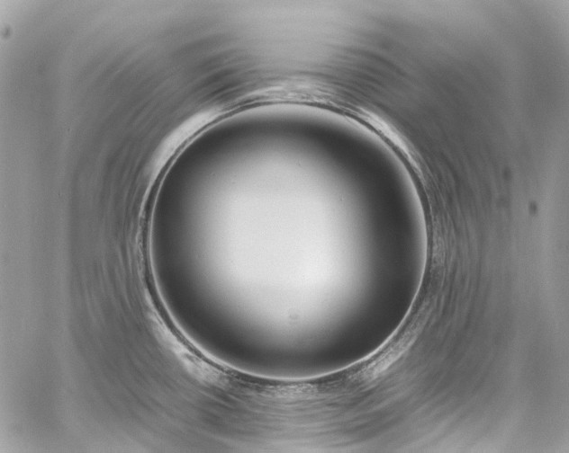 X0000060751434200511141147