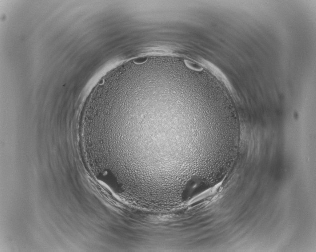 X0000060751435200511141147