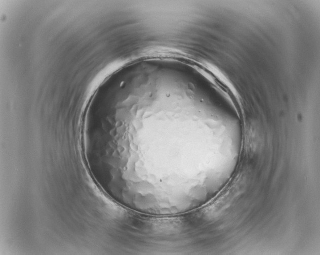 X0000060751437200511141147