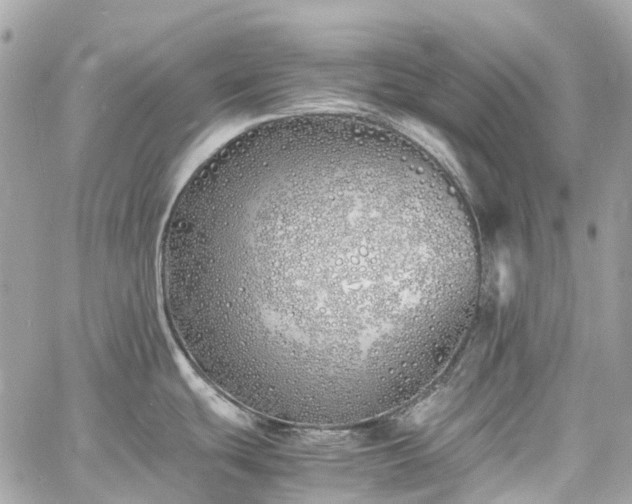 X0000060751439200511141147