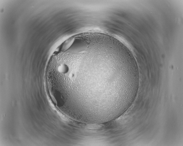 X0000060751440200511141147