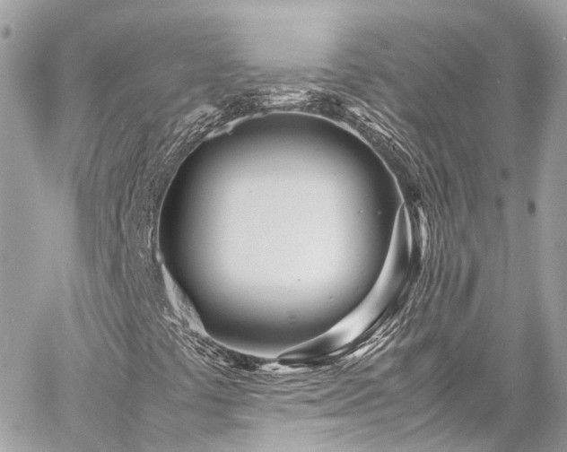 X0000060751441200511141146