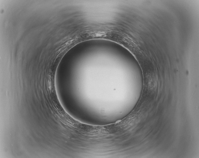 X0000060751442200511141146