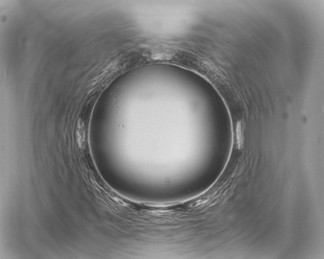 X0000060751443200511141146