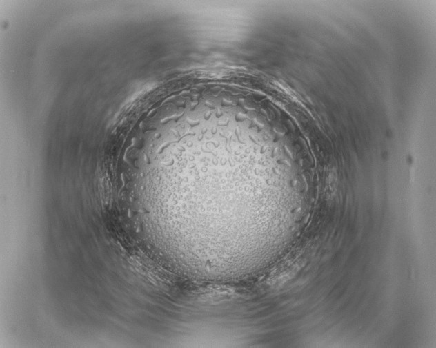 X0000060751446200511141146