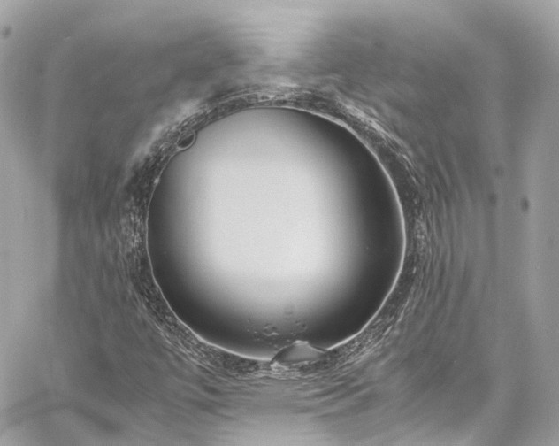 X0000060751447200511141146