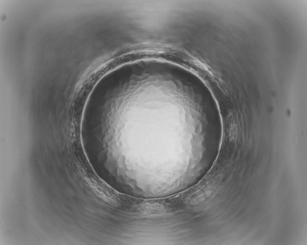 X0000060751448200511141146