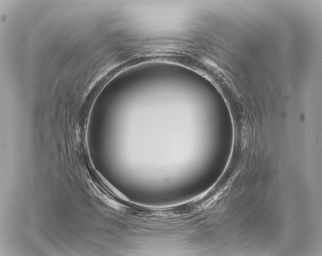 X0000060751449200511141146