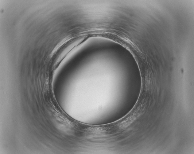 X0000060751450200511141146