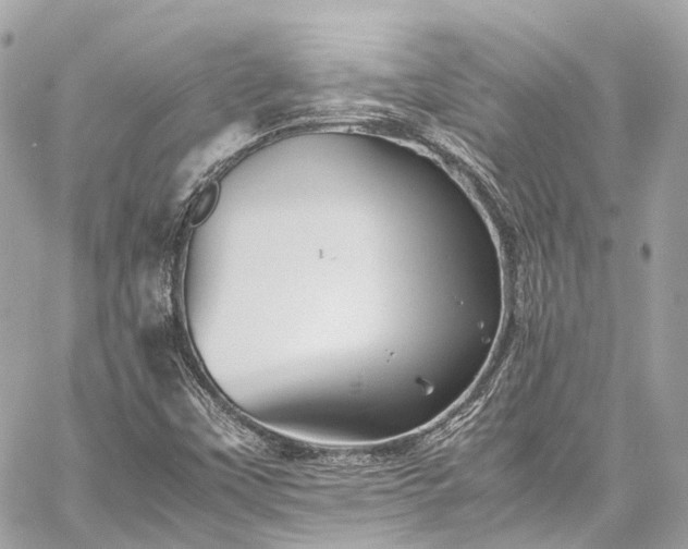 X0000060751451200511141146