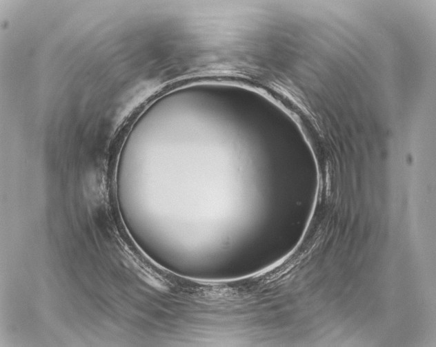 X0000060751452200511141146