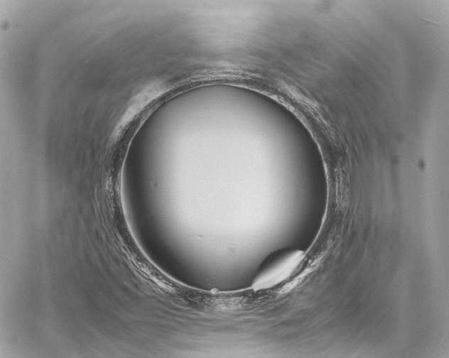 X0000060751453200511141146