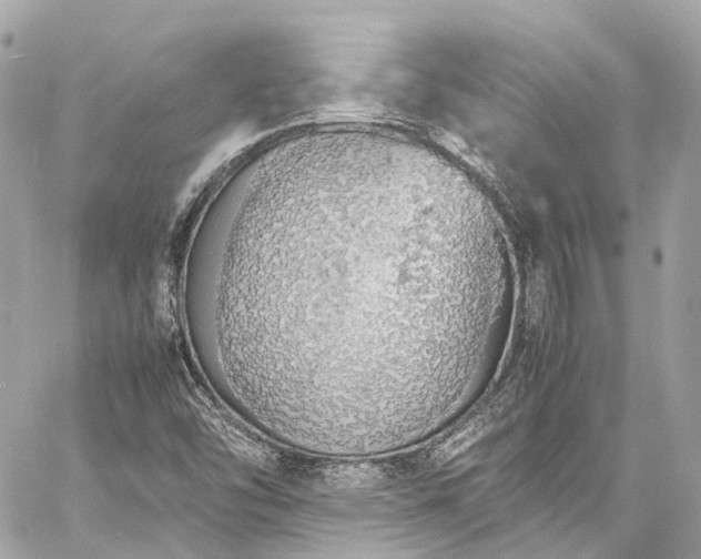 X0000060751454200511141146