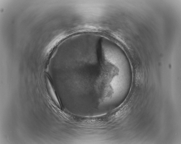 X0000060751455200511141146