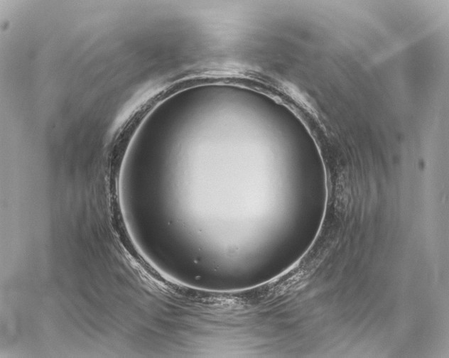 X0000060751456200511141146