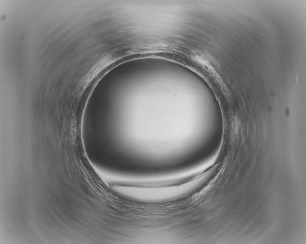 X0000060751457200511141146