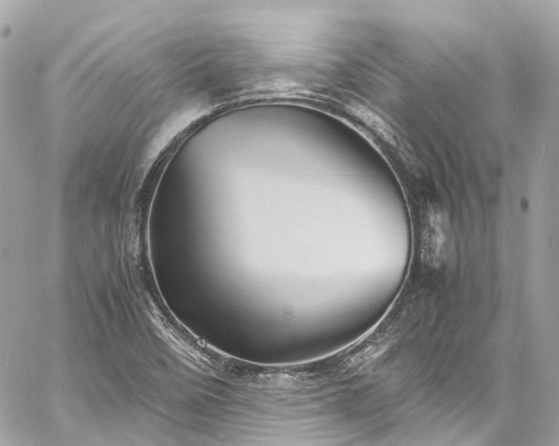 X0000060751458200511141146