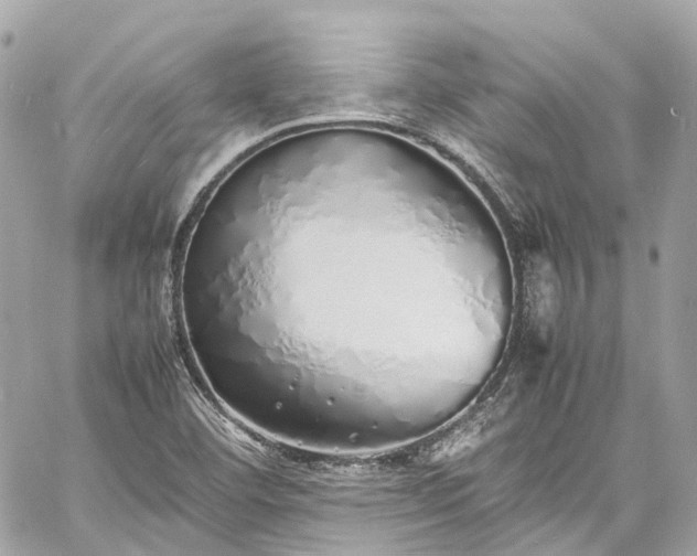 X0000060751460200511141146