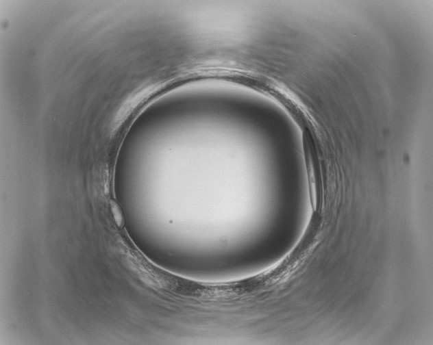 X0000060751461200511141146