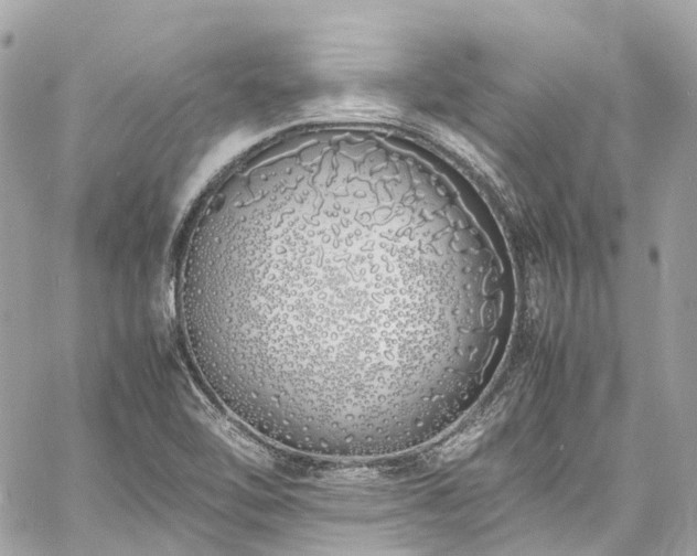 X0000060751462200511141146