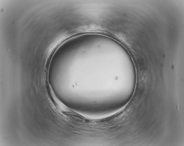 X0000060751463200511141146