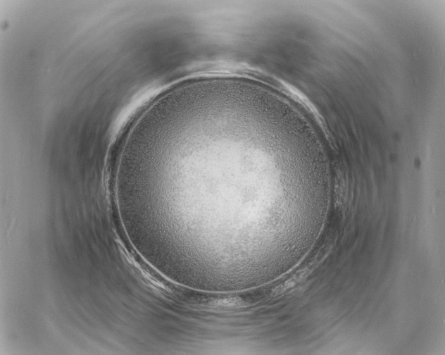 X0000060751464200511141146