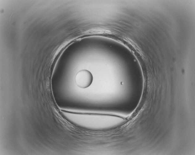 X0000060751465200511141146