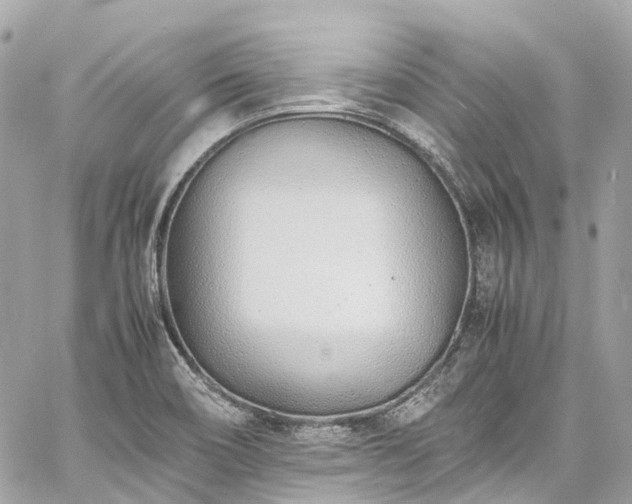 X0000060751466200511141146