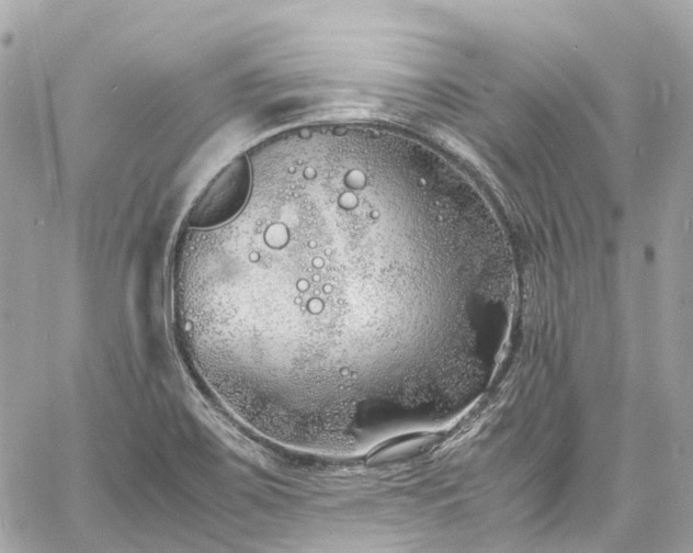 X0000060751467200511141146