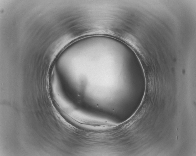 X0000060751468200511141146