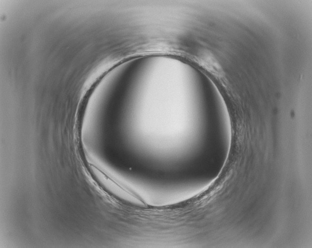 X0000060751469200511141146