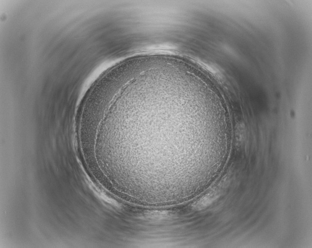 X0000060751470200511141146