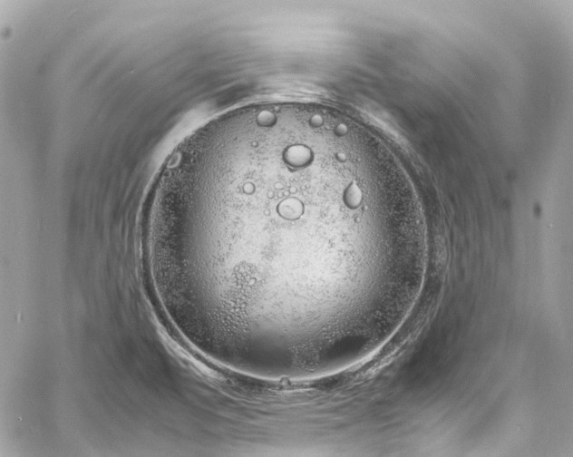 X0000060751471200511141146