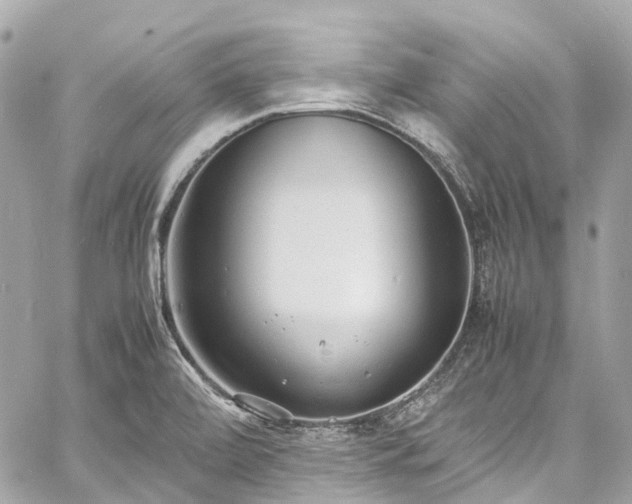 X0000060751472200511141146