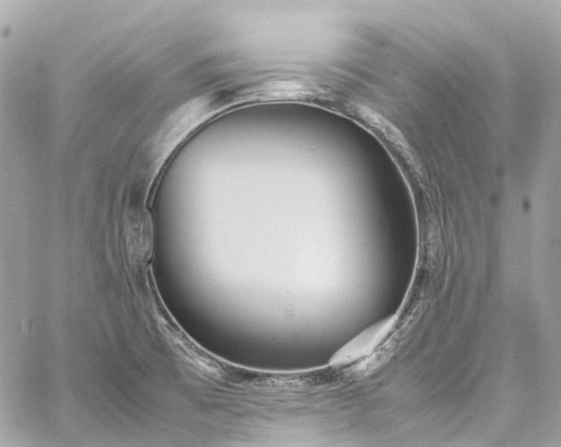 X0000060751473200511141146