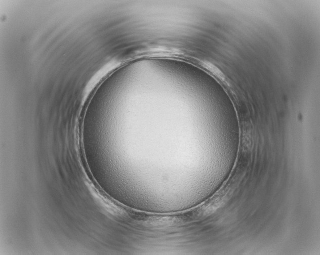 X0000060751474200511141146